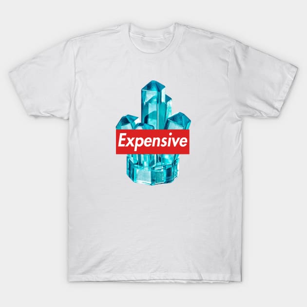 Expensive T-Shirt by Gnomely
